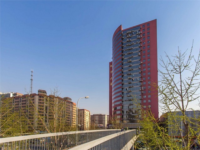 道路雾炮车租赁公司